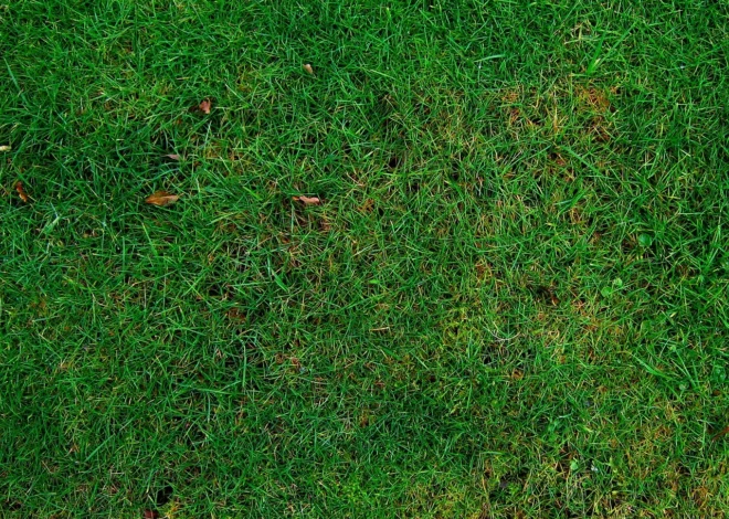 Rozdrabniacz STIHL kluczem do pięknego trawnika
